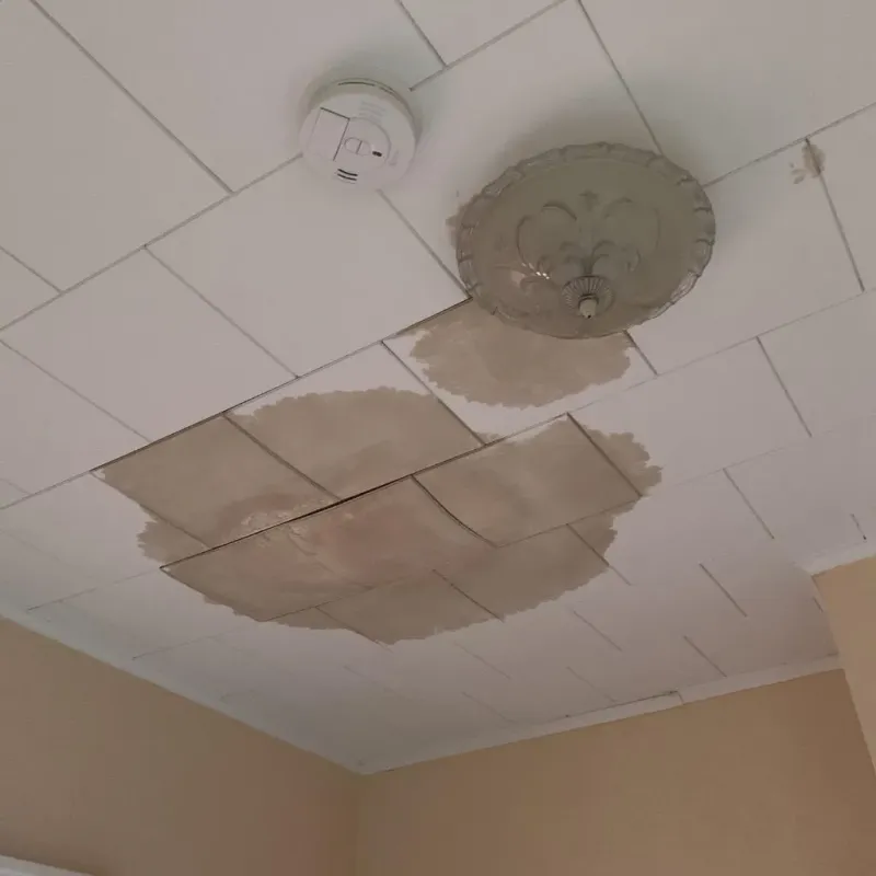 Ceiling Water Damage Repair in Wauregan, CT