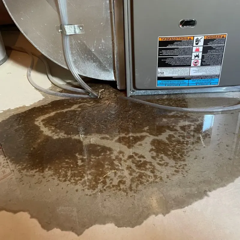 Pipe Burst and Leak Restoration in Wauregan, CT