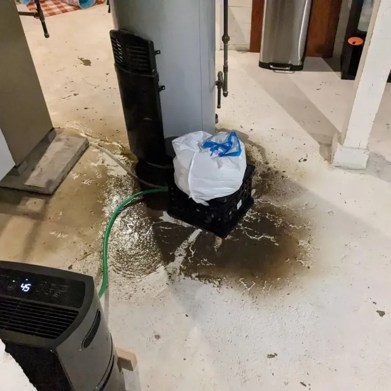 Sewage Backup Cleanup Service in Wauregan, CT